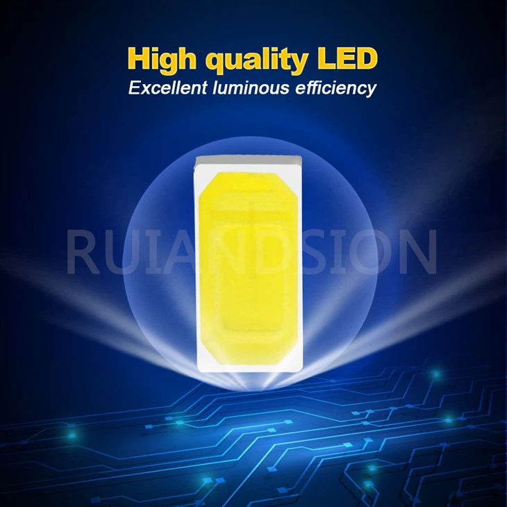 t20 led canbus